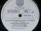 SUBURBAN REPTILES - SATURDAY NIGHT STAY AT HOME - NZ 1978 VERTIGO 45 -