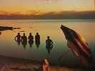 Australian Crawl 