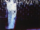 PIG DESTROYER-BOOK BURNER (COLV)  VINYL LP NEW