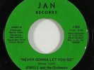 Jobell & the Orch de Salsa 