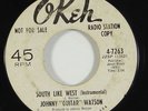 Johnny Guitar Watson 