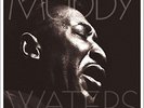 MUDDY WATERS - MANNISH BOY/BEST OF MUDDY WATERS 2 VINYL LP NEW