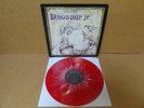 Dinosaur Jr.,You're Living All Over Me LP,RARE red splatter vinyl,500 made?