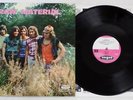 RAW MATERIAL LP Vinyl Vogue LDVS 17236 1971 Germany Psych *