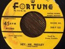 PETE DE BREE Hey, Mr. Presley / Long Tall You 45 RARE Rockabilly 2-sider FORTUNE