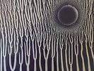Sunn o))) The Grimmrobe Demos LP