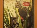 Prince Isaac Black ?– Born To Survive RARE AFRO REGGAE KILLER DARK DIGI