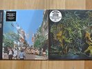 POND The Weather + KING GIZZARD AND THE LIZARD WIZARD Murder Of The Universe LP