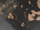 THE CORAL - Roots & Echoes (180gm LP on Red colour vinyl, Numbered)