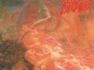 MORBID ANGEL-BLESSED ARE THE SICK  VINYL LP NEW