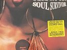 Pete Rock ?– Soul Survivor SEALED Nature Sounds ?NSD-803 2xLP CHOCOLATE COLORED