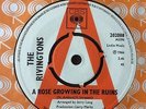 THE RIVINGTONS: 