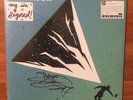 SIGNED DJ Shadow The Mountain Will Fall 2LP autographed vinyl record