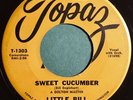 * LITTLE BILL Sweet Cucumber/Why Was I Ever Born NW ROCKABILLY Topaz 45 HEAR
