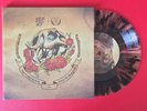 STICK TO YOUR GUNS / THE STORY SO FAR 7