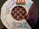 Chokey Taylor Ethiopia Land 7
