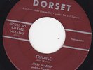 Instrumental (Killer). Jerry Warren - Tremble/Rompin' + Custom PS
