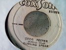 Burning Spear ?– Door Peeper  /  7''    /   VG+