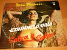 LOS PACHECO 