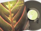 Lifetones   For A Reason 1983 UK ORIG Tone Of Life This Heat Dub Experimental