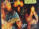 Hard-Ons - Yummy  LP - AUTOGRAPHED GREEN VINYL