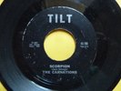 THE CARNATIONS SCARCE GARAGE/SURF TITTYSHAKER=SCORPION