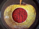 JOHN LENNON & PLASTIC ONO BAND *** Instant Karma ** ORIGINAL Venezuela 7