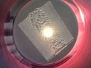JOY DIVISION UNKNOWN PLEASURES VINYL LP 1ST FACT 10 RUBY RED SIGNED  NM