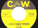 Rockabilly 45 - JIM SHAW - Rockin Bobbin Teenager / The Only Love In Life