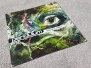 Pendulum Hold Your Colour Vinyl