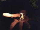 DANGER MOUSE & SPARKLEHORSE - Dark Night of the Soul