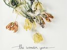 Burst & Decay [9/22] * by The Wonder Years (Vinyl, Sep-2017, Hopeless Records)