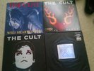 The Cult 4 Vinyl 12