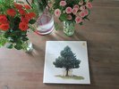 4 LP Set TOSCA - Dehli9 • Studio  K7 • 2003
