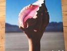 THE KILLERS - PROMO POSTER for new DELUXE LP / CD WONDERFUL WONDERFUL Pink Vinyl