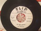 THE DREAMERS 45. Since You've Been Gone FLIP orig PROMO great copy RARE Doo Wop