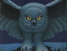 Rush Fly By Night + Insert UK vinyl LP album record 9100013 MERCURY 1975
