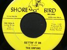 Garage: ORFUNS Gettin It On/Put You Down 45 on SHORE BIRD mp3 LISTEN