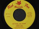 TERRY LEE: Hey Baby, Hey Sugar / Part Iii 45 (wild two-sider   instro on the fl