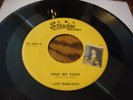 Lloyd McCollough Rocker 45  Starday 