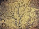 Passion - Sources [VINYL] Various Artists Vinyl
