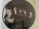 Marillion - Lay the Blame on Genesis - Vinyl - Picture Disc - Collector's Item