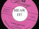 The Chestnuts DOO WOP 45 (Mercury 70489) I wanna Come Home /Don't Go