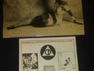 PATRICK MILLER MINIMAL MAN SAFARI LP VINYL  1984 PUNK ROCK USED OOP