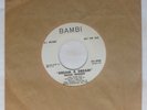 Doo-Wop 45 - Mood Makers - Dream A Dream/Dolores - Bambi - VG+ mp3
