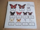 the Jam ?– The Butterfly Collector (1980) rare live double LP Not Tmoq SEALED
