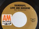 Northern Soul 45 Robert John Raindrops, Love and Sunshine on A&M HEAR
