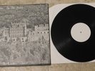 PETER GREEN - In The Ruins LP Vinyl Very Rare