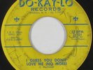 Doo-Wop 45 - Dynamics - I Guess You Don't Love Me - Do-Kay-Lo - mp3