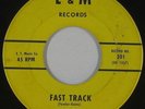 Rockabilly Inst. 45 - Sting Rays - Fast Track - L & M - mp3